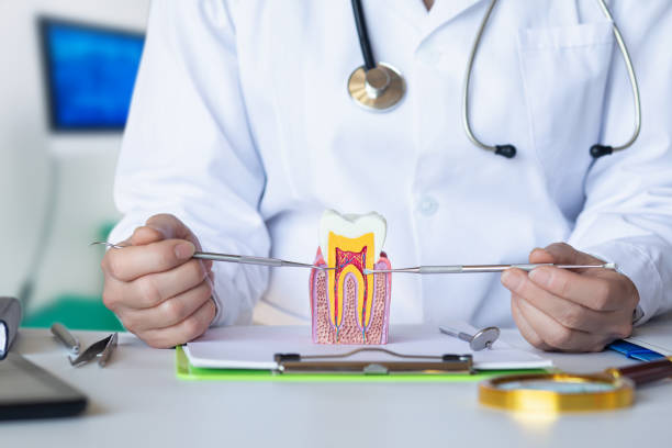 Best Walk-In Emergency Dentist in Peru, IL